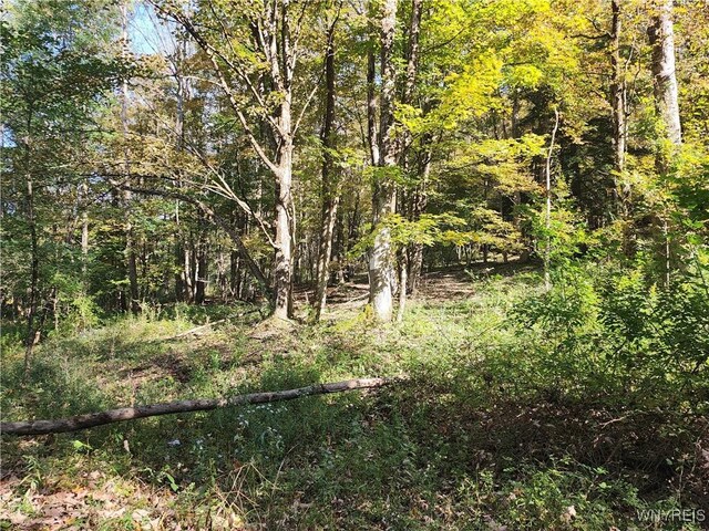 33 Creek Ridge Rd, Ellicottville, NY 14731 - photo 5
