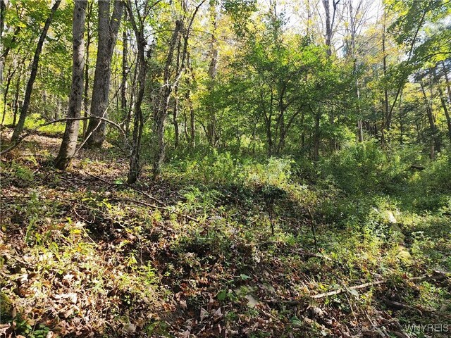 33 Creek Ridge Rd, Ellicottville, NY 14731 - photo 7