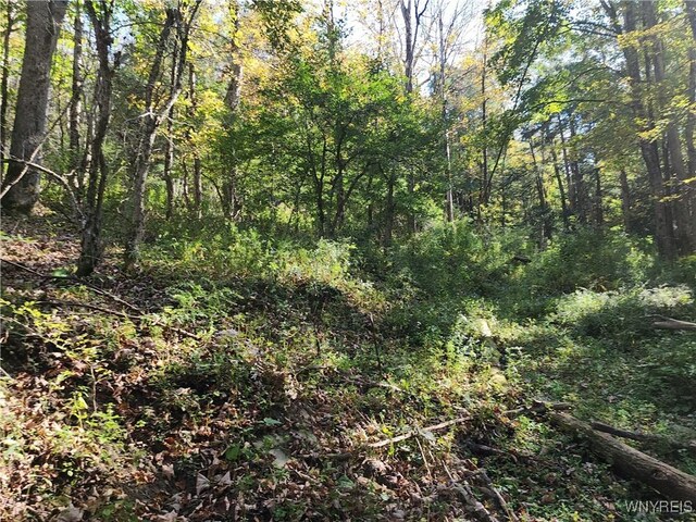 33 Creek Ridge Rd, Ellicottville, NY 14731 - photo 8