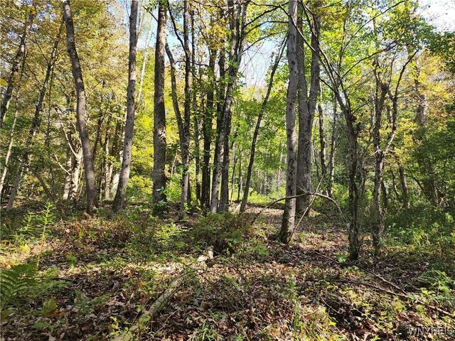 33 Creek Ridge Rd, Ellicottville, NY 14731 - photo 9