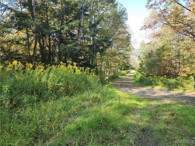 33 Creek Ridge Rd, Ellicottville, NY 14731 - photo 10