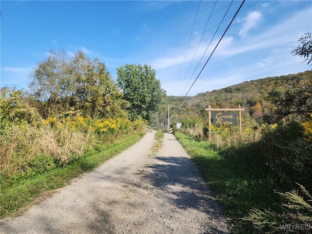 33 Creek Ridge Rd, Ellicottville, NY 14731 - photo 11