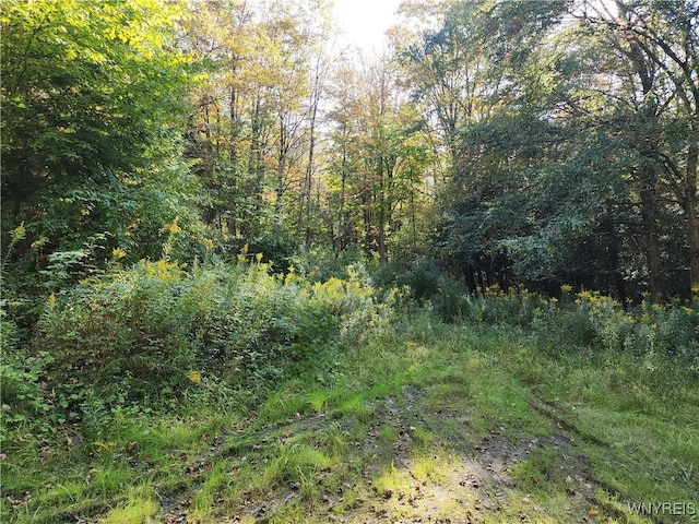 33 Creek Ridge Rd, Ellicottville, NY 14731 - photo 1