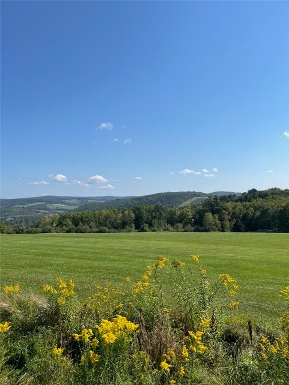 view of nature featuring a rural view