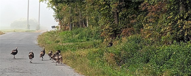 view of road