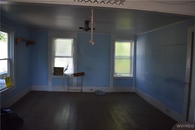 empty room featuring crown molding and hardwood / wood-style floors