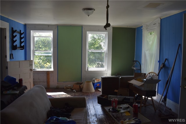 living room with hardwood / wood-style floors