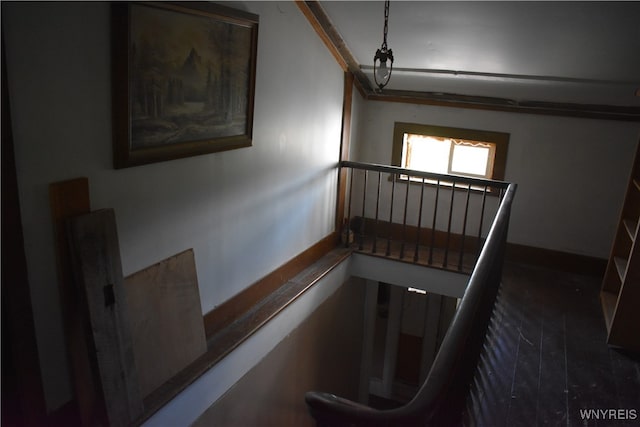 staircase featuring ornamental molding and hardwood / wood-style flooring