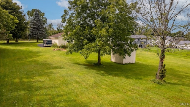 view of yard with a storage shed