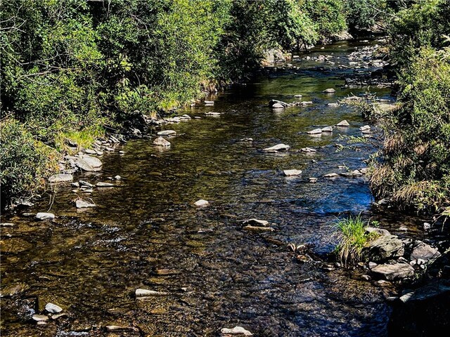 view of local wilderness