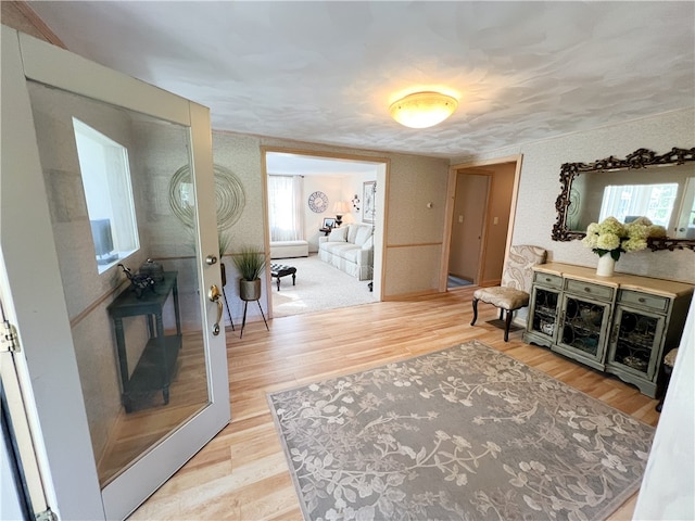 living room with light hardwood / wood-style floors and a healthy amount of sunlight