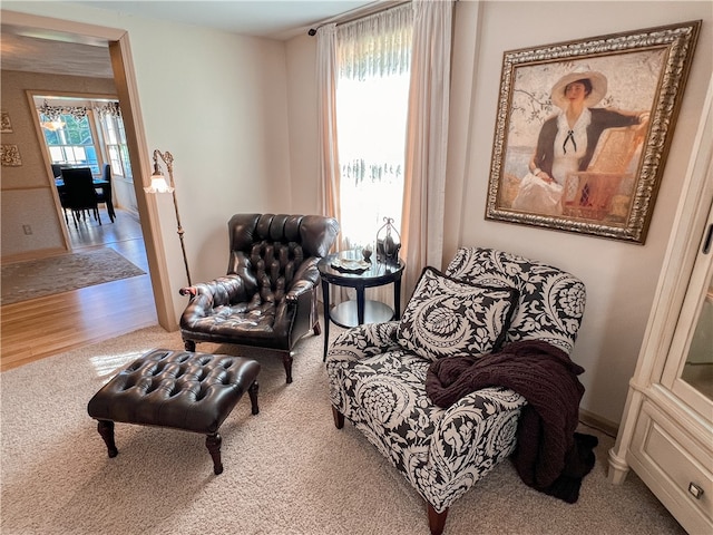 sitting room featuring hardwood / wood-style flooring