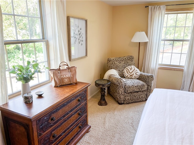 interior space featuring carpet flooring