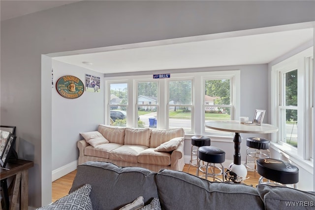 living room featuring light hardwood / wood-style flooring and a wealth of natural light