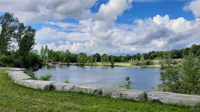 view of water feature