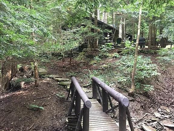 8578 County Road 49, Rushford, NY 14717 - view of local wilderness