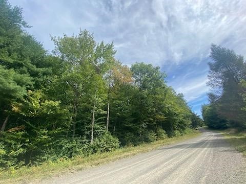 0 Sam Holdridge Rd, Burlington NY, 13482 land for sale