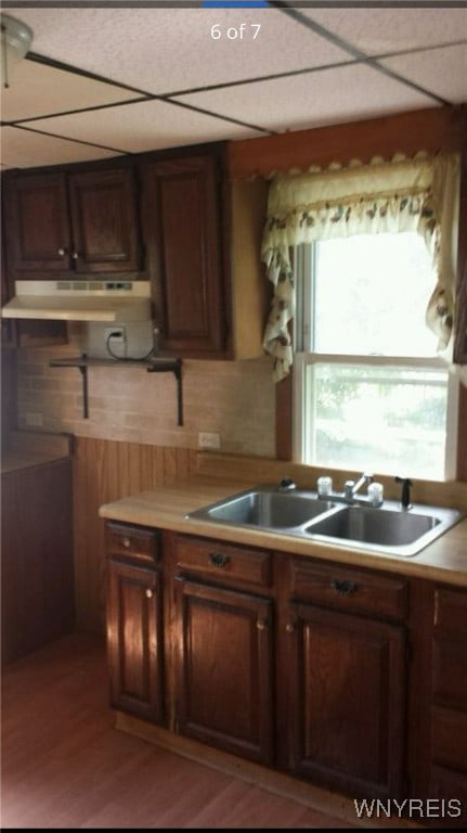 kitchen featuring hardwood / wood-style floors, a paneled ceiling, and sink