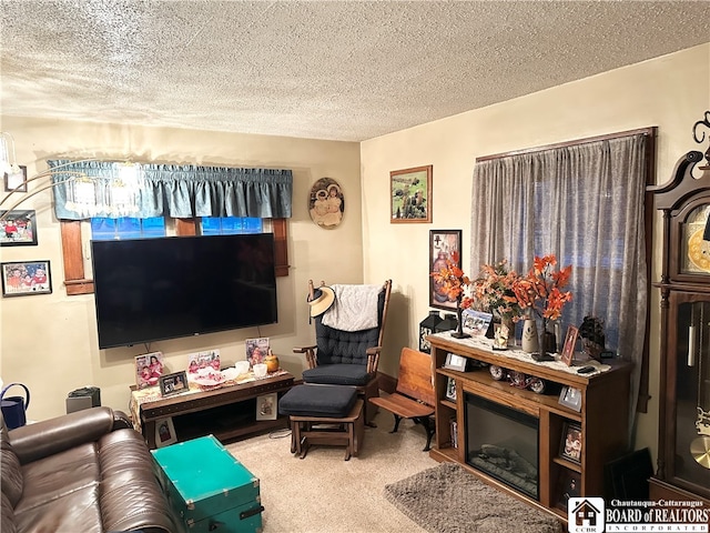 living room with carpet and a textured ceiling