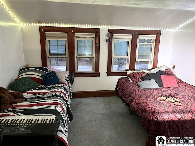 carpeted bedroom with multiple windows