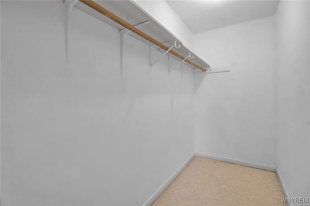 walk in closet featuring carpet