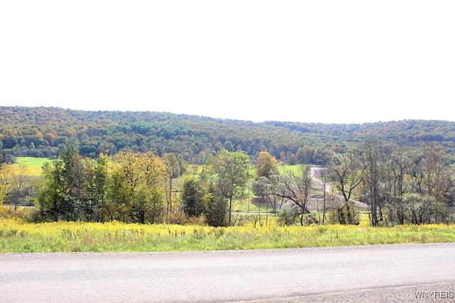 13 Sundance Rd, Ellicottville NY, 14731 land for sale