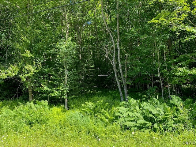 00LOT3 Sequoia Rd, Webb NY, 13472 land for sale