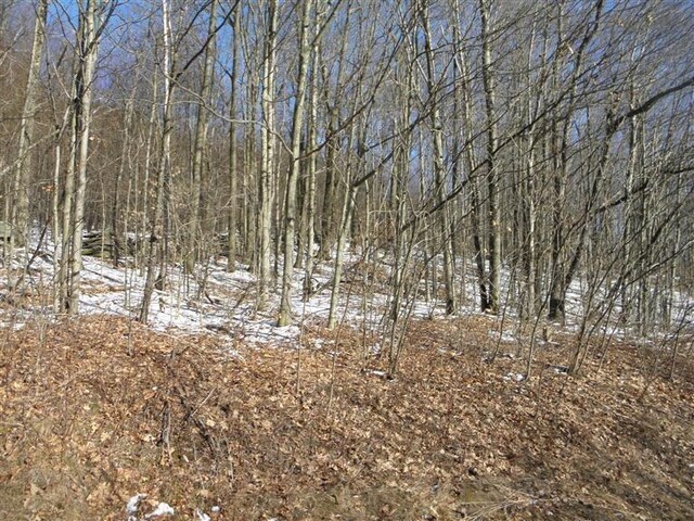 0 County Highway 26, Hamden, NY 13782 - photo 4