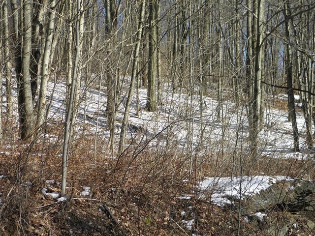 0 County Highway 26, Hamden, NY 13782 - photo 5