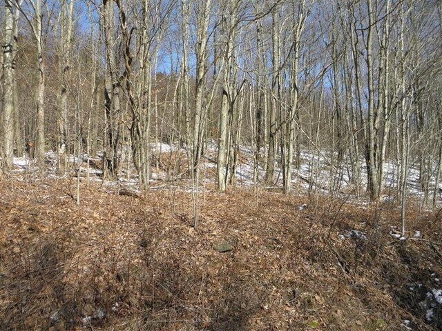 0 County Highway 26, Hamden, NY 13782 - photo 6