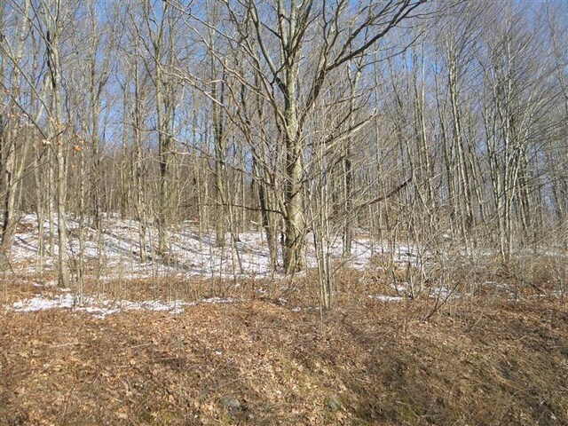 0 County Highway 26, Hamden, NY 13782 - photo 7