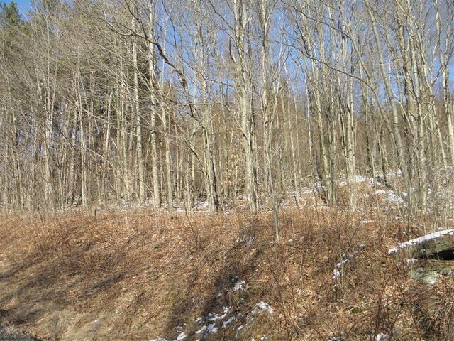 0 County Highway 26, Hamden, NY 13782 - photo 8