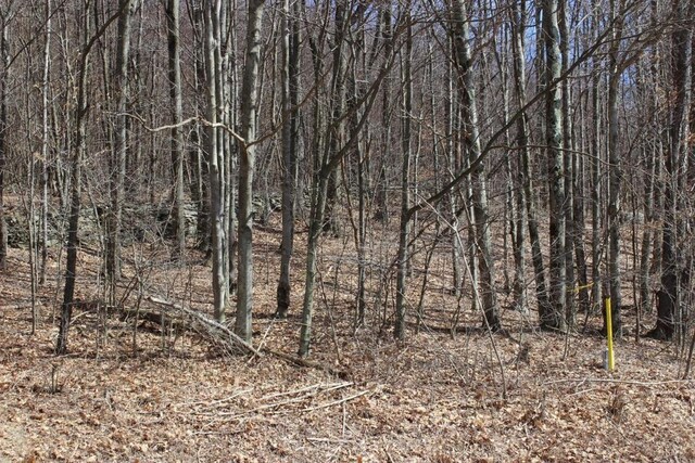 0 County Highway 26, Hamden, NY 13782 - photo 9