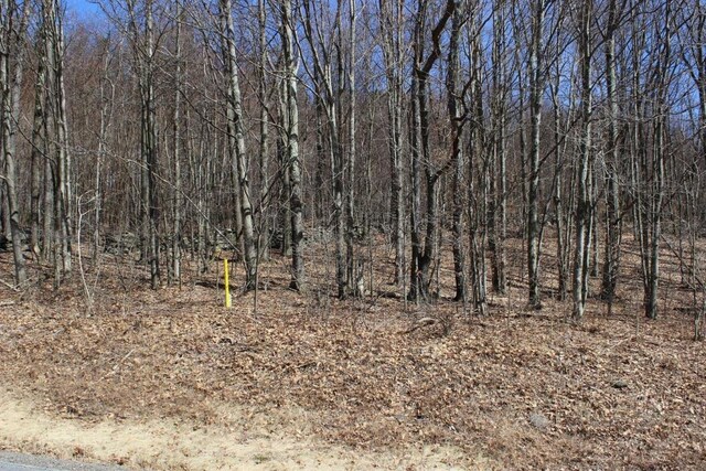 0 County Highway 26, Hamden, NY 13782 - photo 10