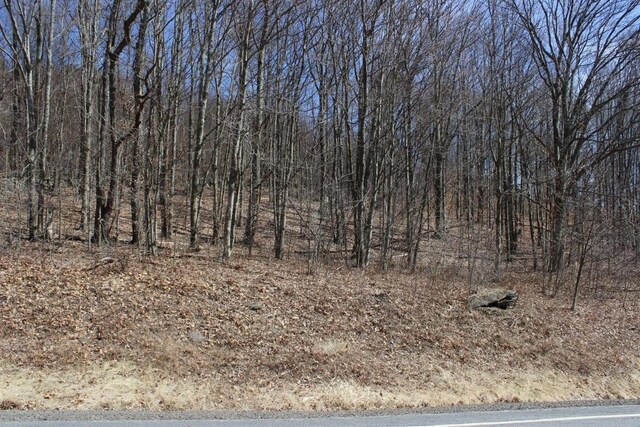 0 County Highway 26, Hamden, NY 13782 - photo 11