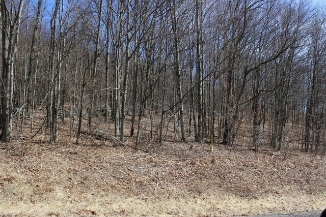 0 County Highway 26, Hamden, NY 13782 - photo 12