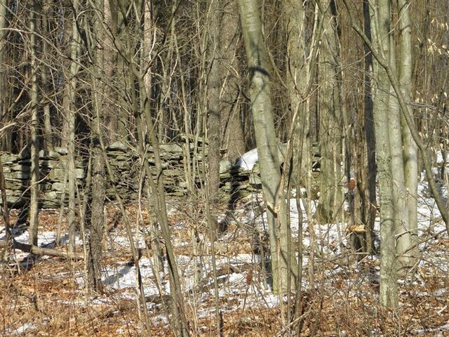 0 County Highway 26, Hamden, NY 13782 - photo 13