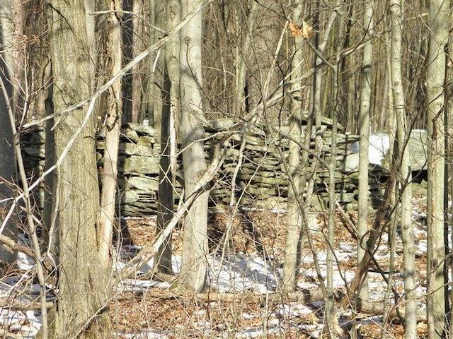 0 County Highway 26, Hamden, NY 13782 - photo 14