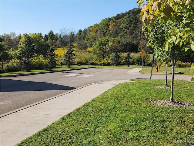 view of road