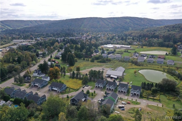 28 Glen Burn Trl, Ellicottville, NY 14731 - view of property location featuring a water and mountain view