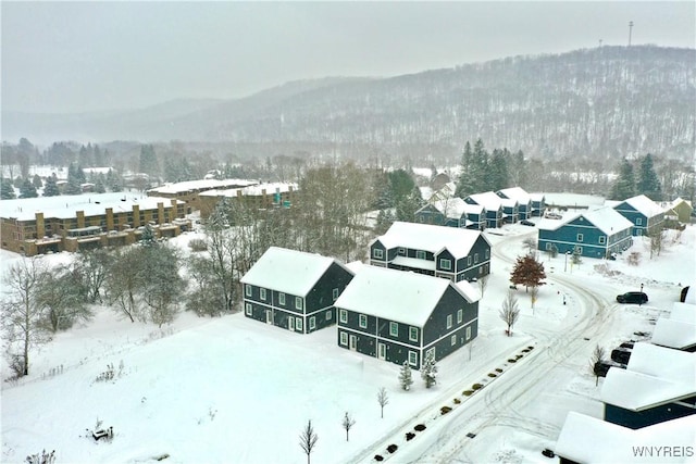 snowy aerial view featuring a mountain view