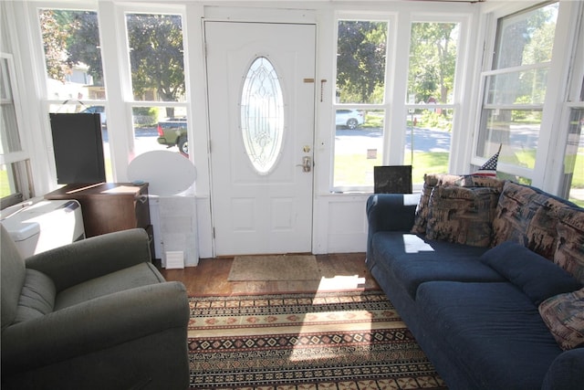 foyer with hardwood / wood-style flooring and plenty of natural light