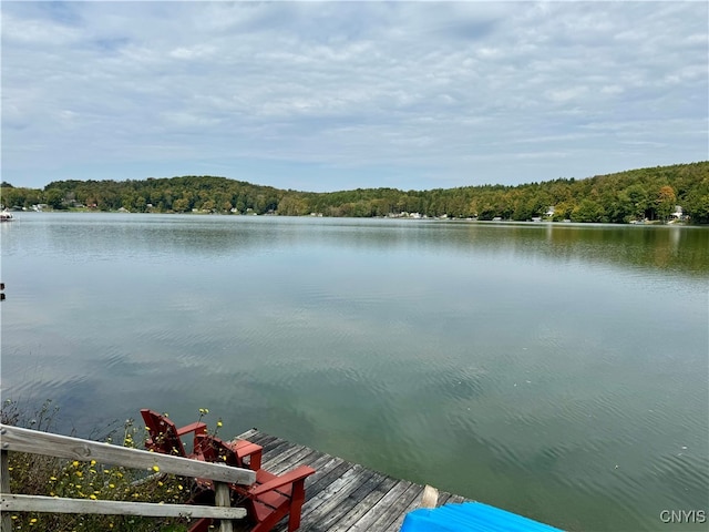 view of dock with a water view