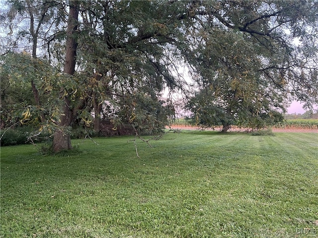 view of yard at dusk