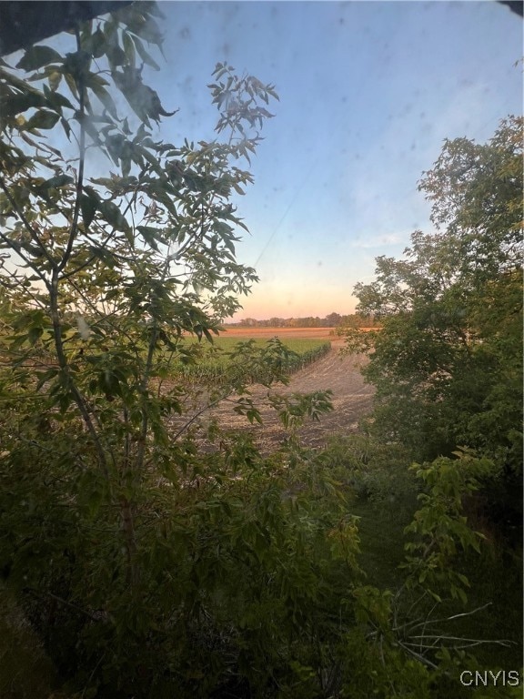 nature at dusk with a rural view