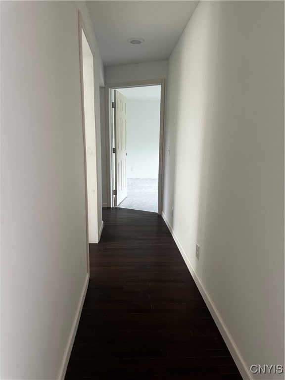 corridor with dark hardwood / wood-style floors