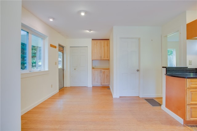 interior space with light wood-type flooring