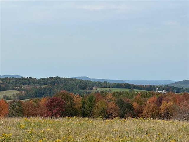 mountain view featuring a rural view