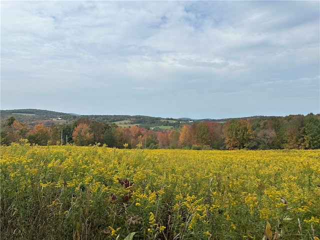 view of mountain feature