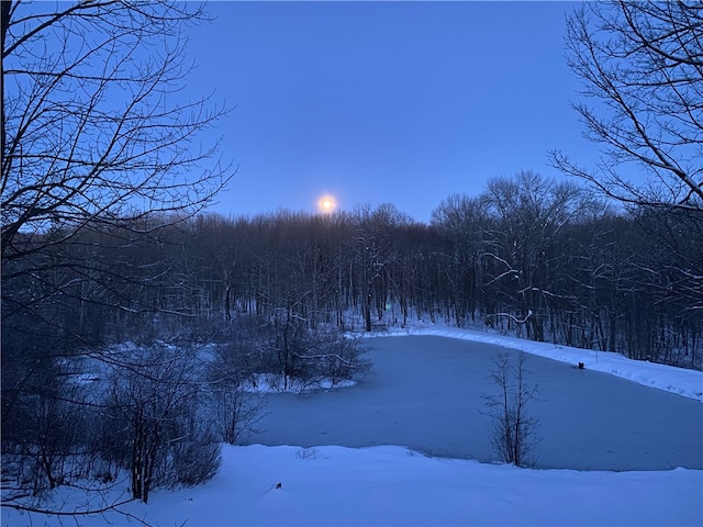 view of snowy yard